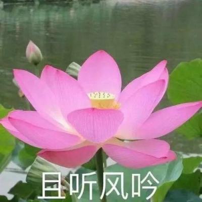 欧意官网下载app交易所